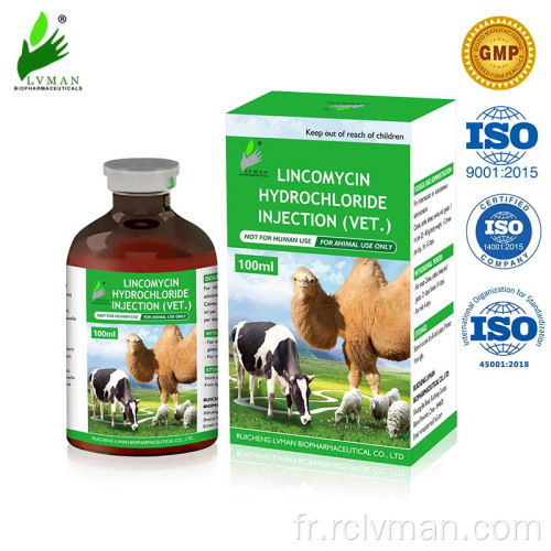 Injection de chlorhydrate de lincomycine pour une utilisation animale uniquement